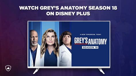 greys anatomy wiki|grey's anatomy disney plus.